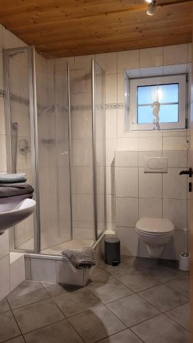 a bathroom with a shower and a toilet and a window at Ferienwohnung Greif in Ofterschwang