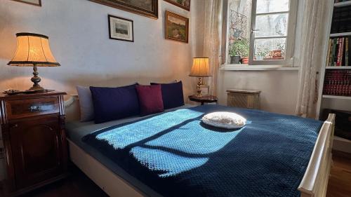 Schlafzimmer mit einem Bett mit blauer Decke in der Unterkunft LINZ CITY CENTER - Historisches Apartment & Refugium in Linz