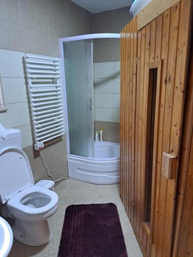 un bagno con wc, doccia e lavandino di Vikendica Vil a Blidinje