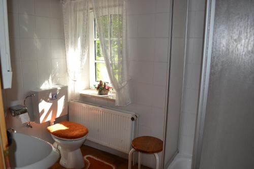 a bathroom with a toilet and a sink and a window at FW auf dem Land in Garding
