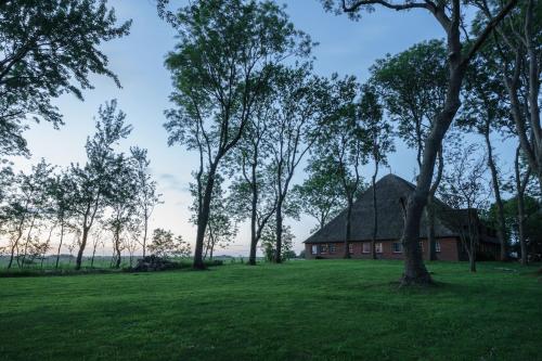 a house in the middle of a field with trees at HW App 9 in Welt