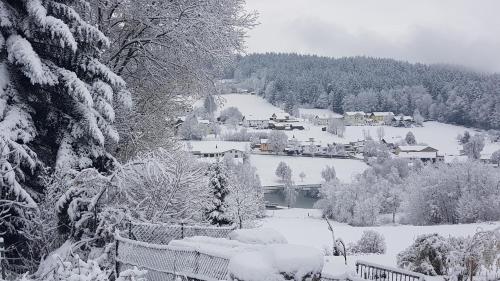 a town covered in snow with houses and trees at Ferienhäuser zum Badeweiher in Neuschönau