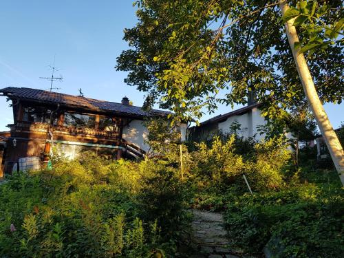 a house with a garden in front of it at Ferienhäuser zum Badeweiher in Neuschönau