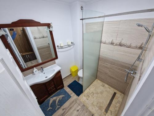 a bathroom with a sink and a glass shower at Vila Flavius in Dunavăţu de Jos
