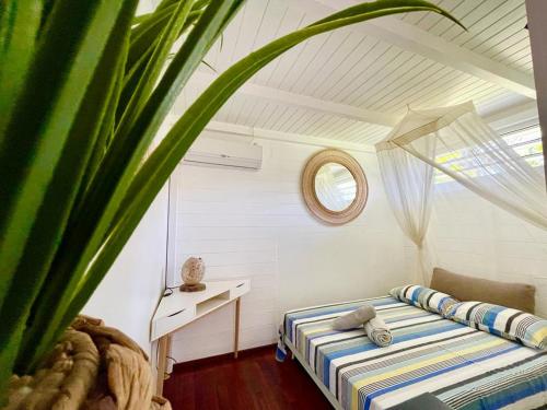 a bedroom with a bed and a desk and a plant at Gîtes KUMQUAT in Petit-Bourg