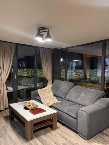a living room with a gray couch and a coffee table at Valea Mosului - Cozy A Frame in Petroşani