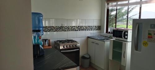 a kitchen with a stove and a microwave at Fogones del Valle in La Serena