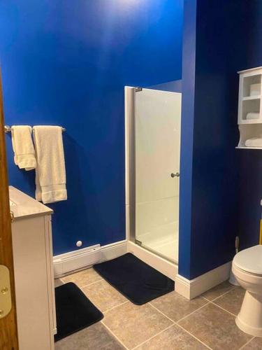 a blue bathroom with a shower and a toilet at The Cast Iron Lady in Wyalusing