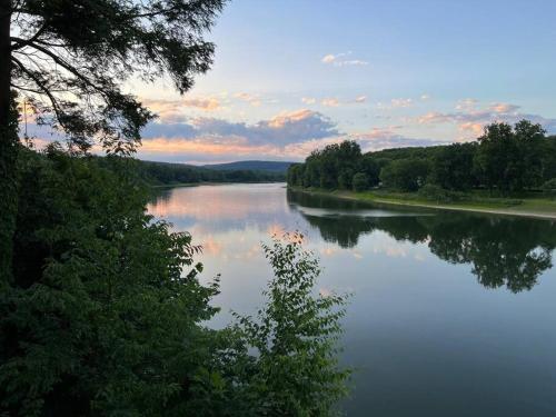 a view of a river with trees on the side at The Cast Iron Lady in Wyalusing