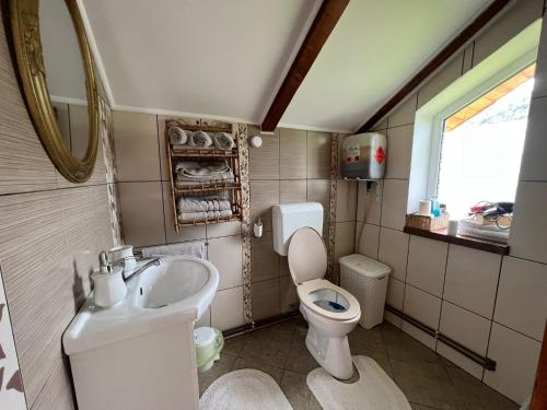 a small bathroom with a toilet and a sink at Casa Marandy in Sadu