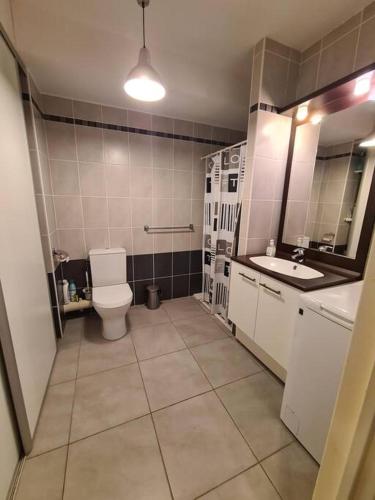une salle de bain avec toilettes et lavabo dans l'établissement Superbe T2, à 5 min de la plage, avec garage, à La Grande Motte