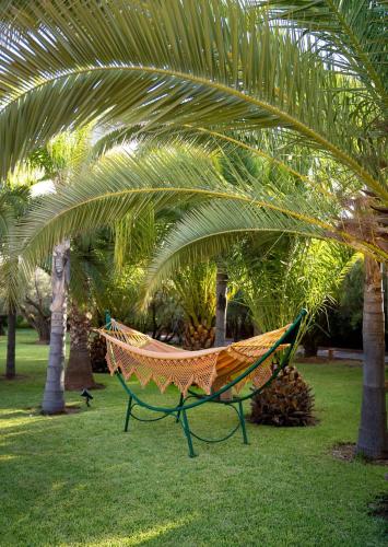 a hammock in a park with palm trees at Palais Hassoun Marrakech in Oulad Snaguia