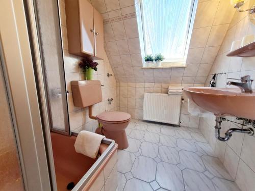 uma casa de banho com um WC e um lavatório em Am Seedeich em Vollerwiek