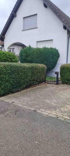 Photo de la galerie de l'établissement Charmant appartement Cosy, à Reichstett