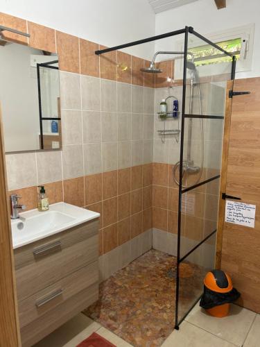 W łazience znajduje się prysznic i umywalka. w obiekcie Joli bungalow fleuri w mieście Les Abymes
