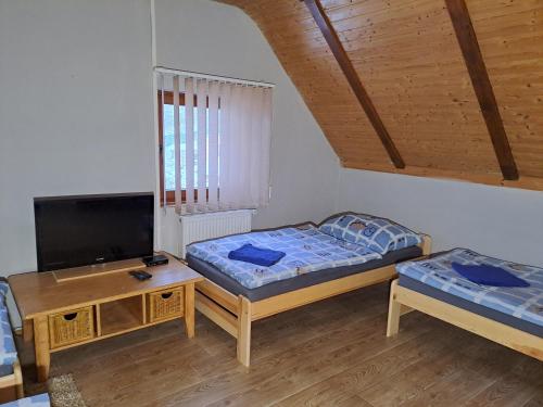 Zimmer mit 2 Betten, einem TV und einem Tisch in der Unterkunft Apartmán Albrecht in Albrechtice v Jizerských horách