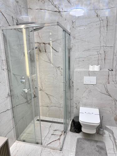 a bathroom with a shower and a toilet at Luxury Apartments-Belochka in Uzhhorod