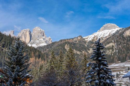 a view of a mountain with trees and snow at Kamerloy Apartments A in Campitello di Fassa