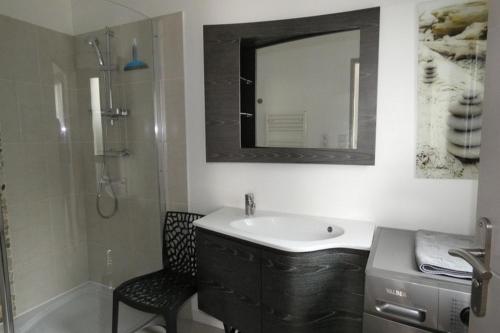 ein Bad mit einem Waschbecken, einer Dusche und einem Spiegel in der Unterkunft Les Galets bleus in Le Crotoy