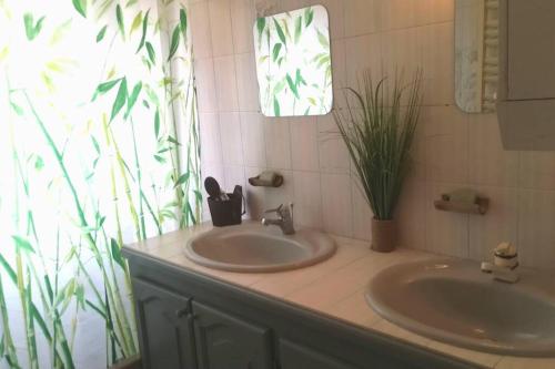 ein Badezimmer mit einem Waschbecken und einer Topfpflanze in der Unterkunft La Dolcevillattes in Lattes