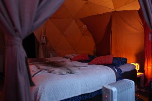 a cat laying on a bed in a tent at Pandomes Aurora Igloo Hotel in Rovaniemi
