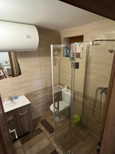 a bathroom with a shower and a toilet and a sink at Chata u Jána in Zákamenné