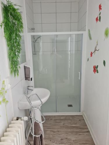 a bathroom with a shower and a sink at Le st jean familiale in Saint-Jean-de-la-Porte