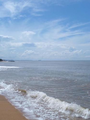 Landskap semula jadi dekat dengan vila ini