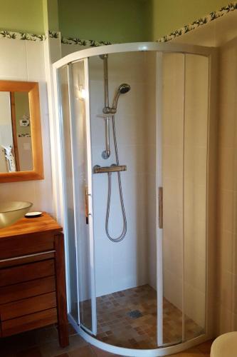 La salle de bains est pourvue d'une cabine de douche en verre. dans l'établissement Les Lavandins, à Taulignan
