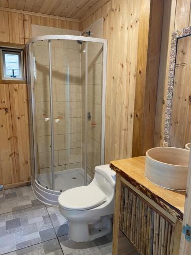 a bathroom with a shower and a toilet and a sink at Refugio Nomade Apartamentos in Pichilemu