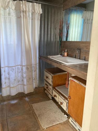 a bathroom with a sink and a shower curtain at Casa de Montaña Uspallata, Mendoza in Estación Uspallata