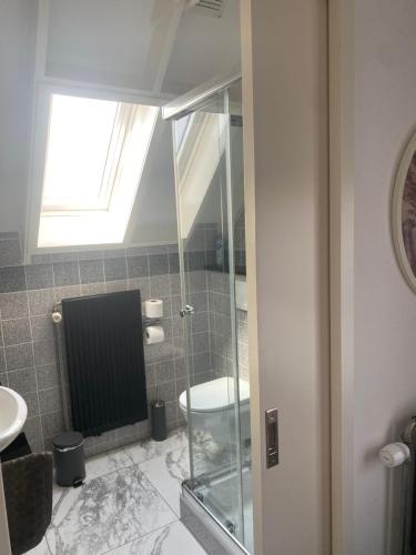 uma casa de banho com uma cabina de duche em vidro e um WC. em Bed en Bike Texel em Den Burg