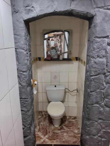 ein Badezimmer mit einem weißen WC in einer Steinwand in der Unterkunft Appartement avec terrain in Pézenas