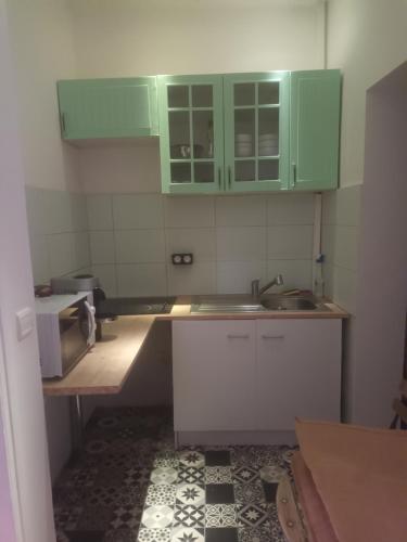 a kitchen with green cabinets and a sink at Charmant et cosy 4 pcs in Nice