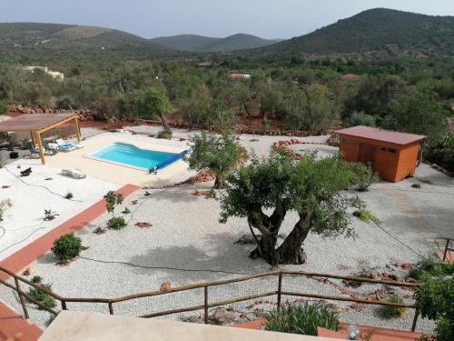 ein Resort mit einem Pool und einem Baum in der Unterkunft B&B Casa Flamenga in Alte