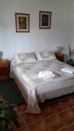 Peggy´s House – Photos 3