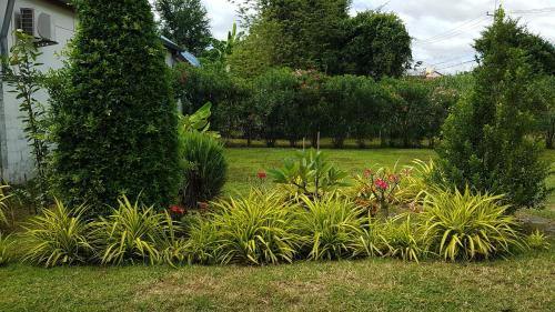 a garden with plants and flowers in a yard at Project 17 in Hua Hin