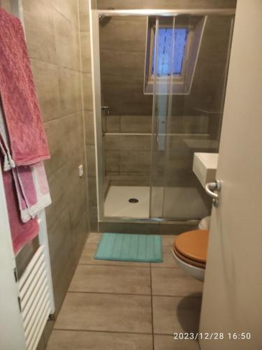 a bathroom with a shower with a toilet and a window at Ferienwohnung Sauerländer in Plettenberg