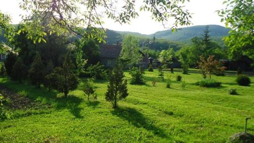 a field of green grass with a house in the background at Bableves Vendégház in Felsőtold