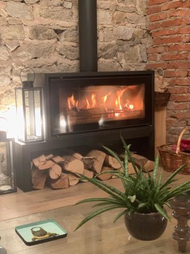 a fireplace in a living room with a fire in it at Chambres d hôtes La clé des arches in Sainte-Florine