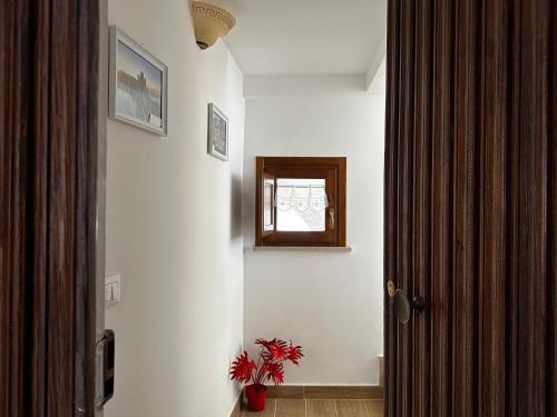 korytarz z drzwiami, oknem i rośliną w obiekcie Red Cottage-Campo Felice w mieście Collimento