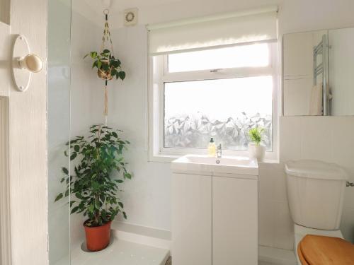 een badkamer met een wastafel en een raam bij 2 Gladstone Avenue in Melton Mowbray