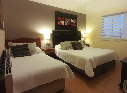 a bedroom with two beds and a window at Hostal del Aguila in Viña del Mar
