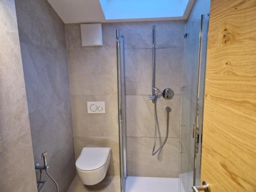 La salle de bains est pourvue de toilettes et d'une douche en verre. dans l'établissement Apartment Aghel, à Ortisei