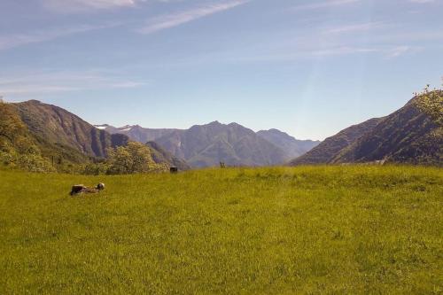 un champ d'herbe verte avec des montagnes en arrière-plan dans l'établissement Chalet Alpe Quaggiui, à Calasca Castiglione