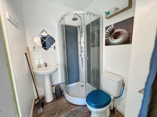 a bathroom with a shower and a toilet and a sink at Appartement à 30 m de la plage - balcon - proche Centre - WIFI -Le Cérès 3 in Berck-sur-Mer