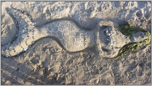 Gambar di galeri bagi Bungalow MEER ODER WENIGER direkt am Strand di Dranske