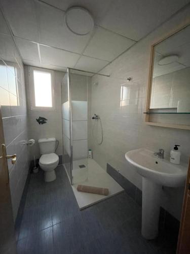 a bathroom with a shower and a toilet and a sink at Apartamento ático en Denia in Denia