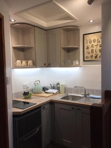Cucina o angolo cottura di Snowdonia Mountain Lodge
