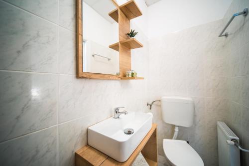 a bathroom with a sink and a toilet and a mirror at Orgula 1 in Lumbarda